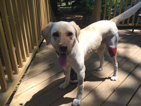 After PowerHeal (10 Days)