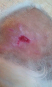 After PowerHeal (7 Days)