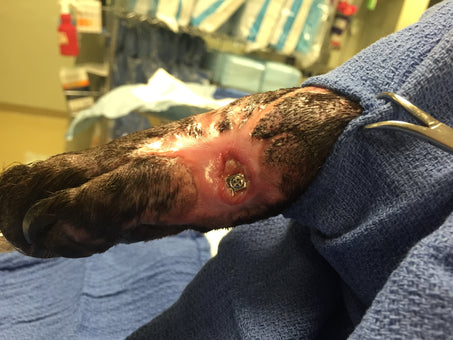 After PowerHeal (2 Months)